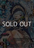 【KR】朕は国家なり ヴェルサイユ宮殿