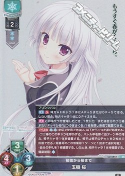 画像1: 【SR】初雪から桜まで 玉樹 桜