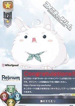 画像1: 【L】 漢のタカモリ