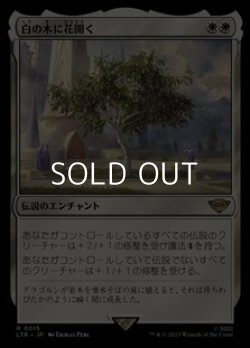 画像1: 【日本語】白の木に花開く/Flowering of the White Tree