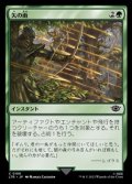 【日本語】矢の雨/Shower of Arrows