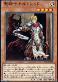 【ノーマル】聖騎士モルドレッド