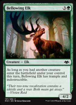 画像1: 【英語】吼える大鹿/Bellowing Elk