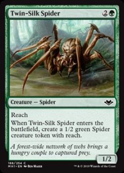 画像1: 【英語】双子絹蜘蛛/Twin-Silk Spider