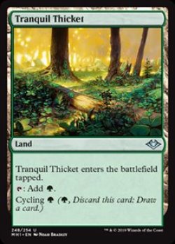 画像1: 【英語】平穏な茂み/Tranquil Thicket