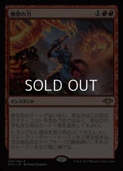 画像1: 【日本語】憤怒の力/Force of Rage