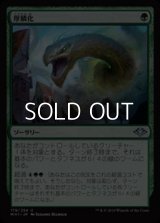 【日本語】厚鱗化/Scale Up