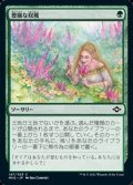 【日本語】豊穣な収穫/Abundant Harvest