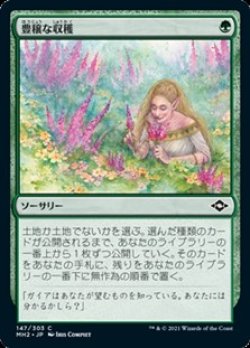 画像1: 【日本語】豊穣な収穫/Abundant Harvest