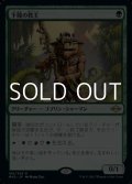 【日本語】下賤の教主/Ignoble Hierarch