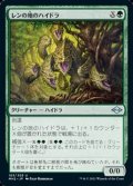 【日本語】レンの地のハイドラ/Wren's Run Hydra