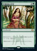 【日本語】女魔術師の存在/Enchantress's Presence