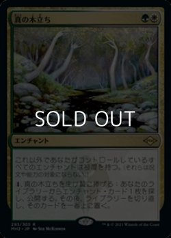 画像1: 【日本語】真の木立ち/Sterling Grove