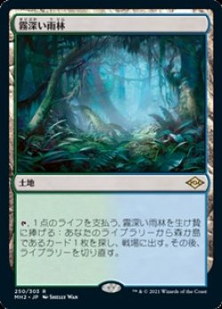 画像1: 【日本語】霧深い雨林/Misty Rainforest