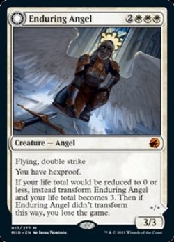 画像1: 【英語】不朽の天使/Enduring Angel