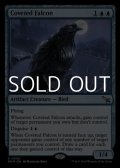 【英語】切望の隼/Coveted Falcon