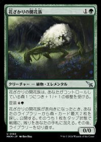【日本語】花ざかりの開花族/Flourishing Bloom-Kin