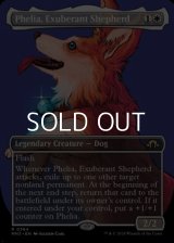 ☆特殊枠【英語】溌剌の牧羊犬、フィリア/Phelia, Exuberant Shepherd