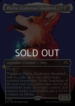 画像1: ☆特殊枠【英語】溌剌の牧羊犬、フィリア/Phelia, Exuberant Shepherd