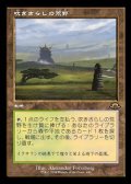 ☆特殊枠【日本語】吹きさらしの荒野/Windswept Heath