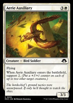 画像1: 【英語】空からの援軍/Aerie Auxiliary