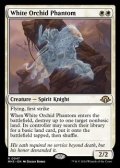 【英語】白蘭の幻影/White Orchid Phantom