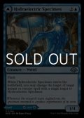 【英語】水力発電の検体/Hydroelectric Specimen