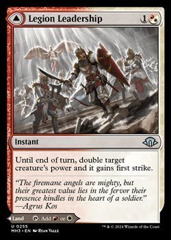 画像1: 【英語】軍団の統率/Legion Leadership