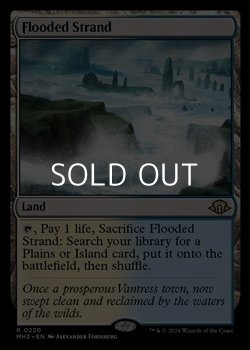 画像1: 【英語】溢れかえる岸辺/Flooded Strand