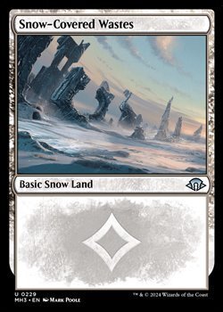 画像1: 【英語】冠雪の荒地/Snow-Covered Wastes