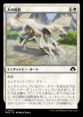 【日本語】犬の陰影/Dog Umbra