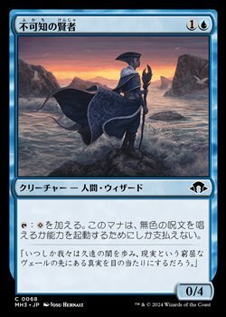 画像1: 【日本語】不可知の賢者/Sage of the Unknowable
