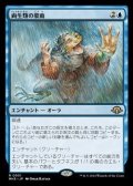 【日本語】両生類の豪雨/Amphibian Downpour
