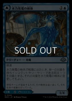 画像1: 【日本語】水力発電の検体/Hydroelectric Specimen