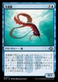 【日本語】浅瀬蟲/Reef Worm