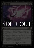 【日本語】悪意の閃光/Flare of Malice