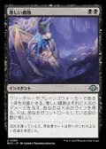 【日本語】激しい腐敗/Consuming Corruption