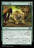 【日本語】カロニアの牙/Fangs of Kalonia