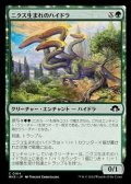 【日本語】ニクス生まれのハイドラ/Nyxborn Hydra