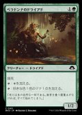 【日本語】ベラドンナのドライアド/Nightshade Dryad