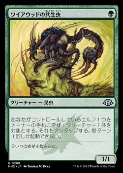 画像1: 【日本語】ワイアウッドの共生虫/Wirewood Symbiote