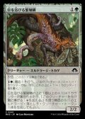 【日本語】日を浴びる繁殖鱗/Basking Broodscale