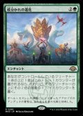 【日本語】枝分かれの進化/Branching Evolution