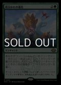 【日本語】枝分かれの進化/Branching Evolution