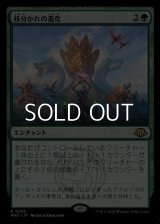 【日本語】枝分かれの進化/Branching Evolution