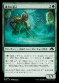 【日本語】進化の証人/Evolution Witness