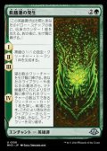 【日本語】飢餓潮の発生/The Hunger Tide Rises