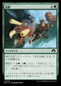 【日本語】鳥撃/Fowl Strike