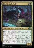 【日本語】呪われたウォンバット/Cursed Wombat