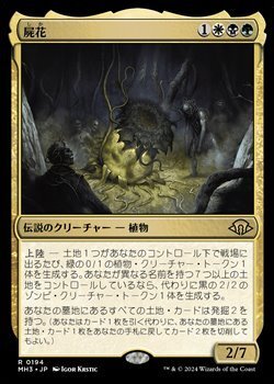 画像1: 【日本語】屍花/The Necrobloom